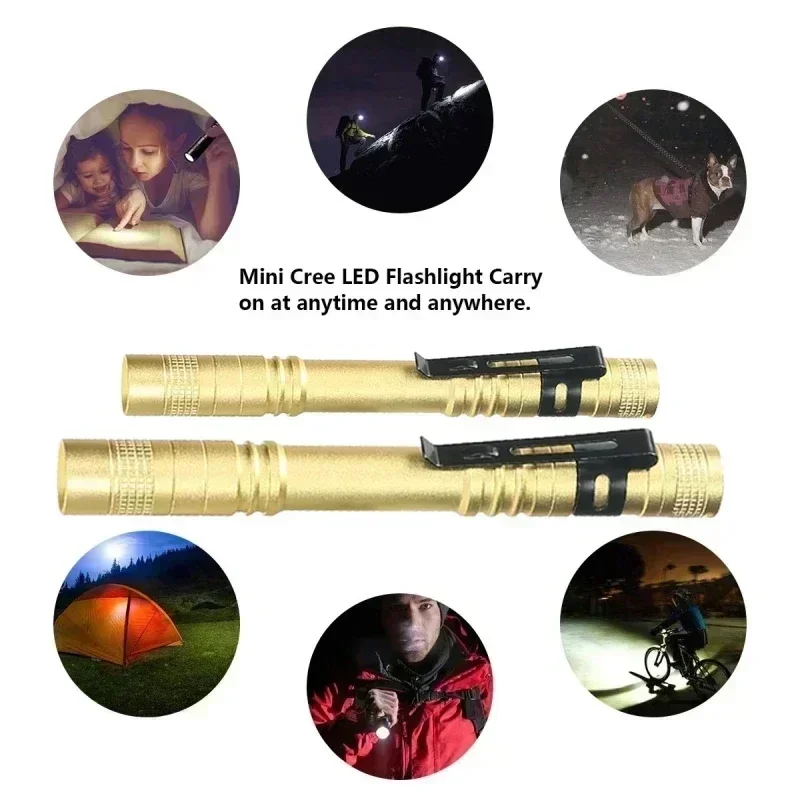 Mini Portable LED Pen Light wi - Outdoor Lighting House 评论和价格