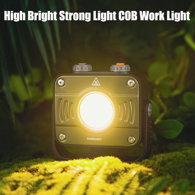 Rechargeable 8000mAh Work Floo - Zumtobel Outdoor Lighting 评论和价格