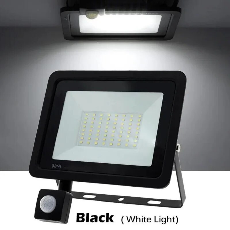 PIR Motion Sensor LED Floodlig - Zumtobel Outdoor Lighting 评论和价格