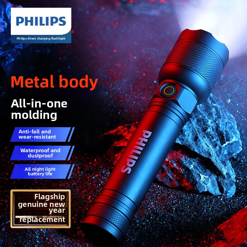 2025 NEW Philips SFL2188 LED A - Outdoor Lighting House 评论和价格
